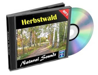 Entspannungsmusik CD Herbstwald