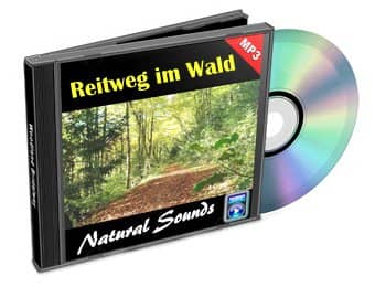 Entspannungsmusik CD Reitweg im Wald