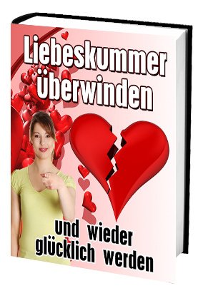 Cover Ratgeber schnell Liebeskummer überwinden Cover Ratgeber schnell Liebeskummer überwinden